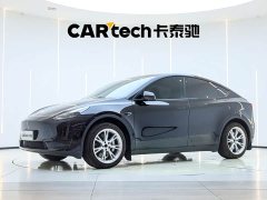 Tesla Model Y Edition - фото 1