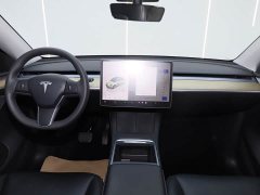 Tesla Model Y Edition - фото 12