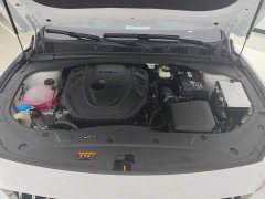 Tesla Xingrui 2023 2.0TD Premium - фото 10
