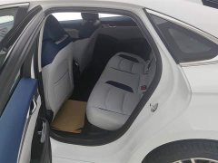 Tesla Xingrui 2023 2.0TD Premium - фото 11