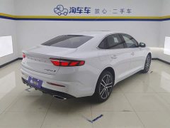 Tesla Xingrui 2023 2.0TD Premium - фото 3