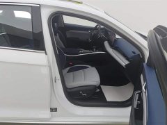 Tesla Xingrui 2023 2.0TD Premium - фото 8