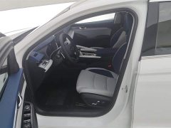 Tesla Xingrui 2023 2.0TD Premium - фото 9