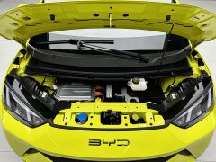 BYD Edition - фото 17