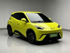 BYD Edition - фото 3