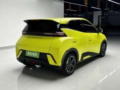 BYD Edition - фото 4