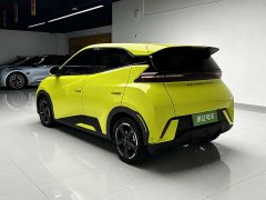 BYD Edition - фото 5