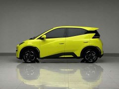 BYD Edition - фото 6