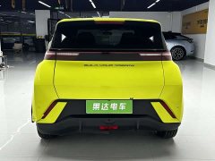 BYD Edition - фото 7