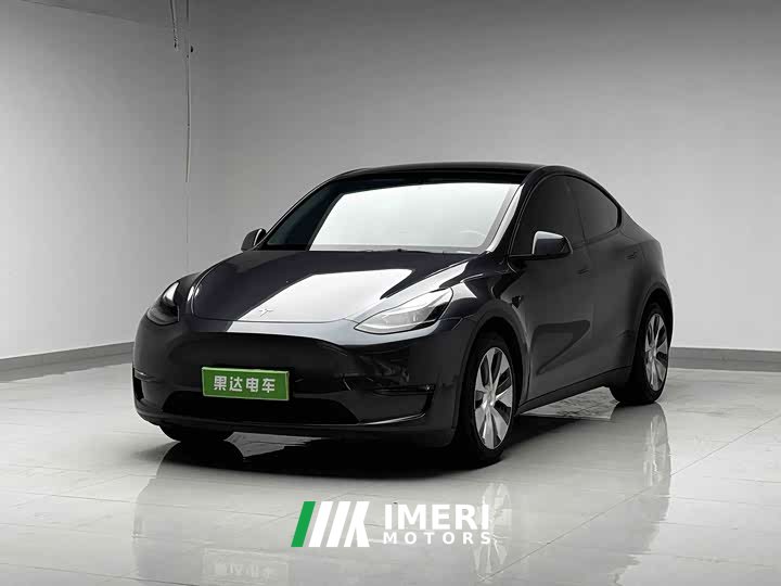 Tesla Model Y Long Range Edition 3D7