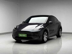 Tesla Model Y Long Range Edition 3D7 - фото 1