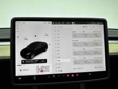 Tesla Model Y Long Range Edition 3D7 - фото 18
