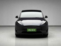 Tesla Model Y Long Range Edition 3D7 - фото 2