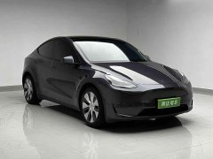 Tesla Model Y Long Range Edition 3D7 - фото 3