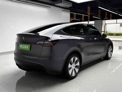Tesla Model Y Long Range Edition 3D7 - фото 4