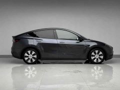 Tesla Model Y Long Range Edition 3D7 - фото 5