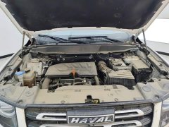 Havaldog 1.5T DCT two-wheel drive Labrador version - фото 10