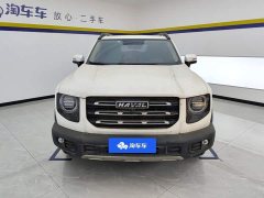 Havaldog 1.5T DCT two-wheel drive Labrador version - фото 2