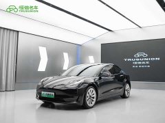 Tesla Model 3 Standard Range Edition 3D1 - фото 1