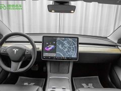 Tesla Model 3 Standard Range Edition 3D1 - фото 13