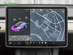 Tesla Model 3 Standard Range Edition 3D1 - фото 18