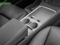 Tesla Model 3 Standard Range Edition 3D1 - фото 19
