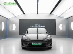 Tesla Model 3 Standard Range Edition 3D1 - фото 2