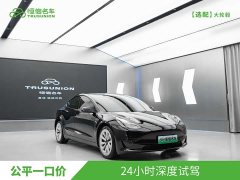 Tesla Model 3 Standard Range Edition 3D1 - фото 3