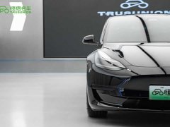 Tesla Model 3 Standard Range Edition 3D1 - фото 8