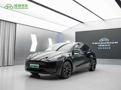 Tesla Model Y Edition - фото 1
