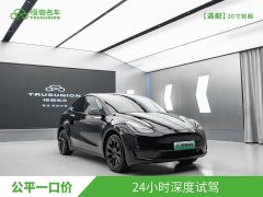 Tesla Model Y Edition - фото 3