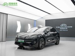 Tesla R7 EREV Max(192) - фото 1