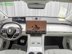 Tesla R7 EREV Max(192) - фото 13