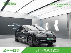 Tesla R7 EREV Max(192) - фото 3