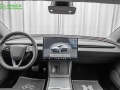 Tesla Model 3 Edition - фото 13