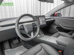 Tesla Model 3 Edition - фото 12