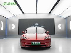 Tesla Model 3 Edition - фото 2