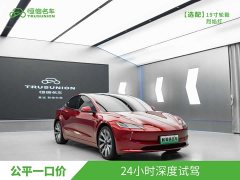 Tesla Model 3 Edition - фото 3