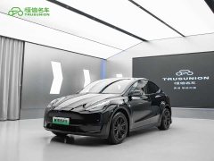 Tesla Model Y Edition - фото 1