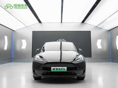 Tesla Model Y Edition - фото 2