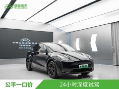 Tesla Model Y Edition - фото 3