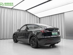 Tesla Model Y Edition - фото 4