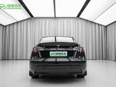 Tesla Model Y Edition - фото 5
