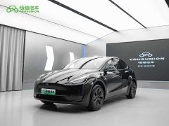 Tesla Model Y Edition - фото 1