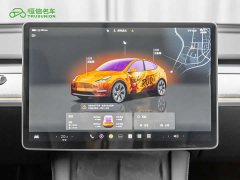 Tesla Model Y Edition - фото 19