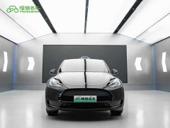 Tesla Model Y Edition - фото 2