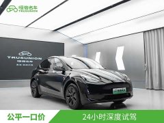 Tesla Model Y Edition - фото 3