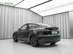 Tesla Model Y Edition - фото 4