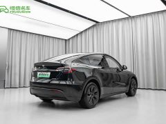 Tesla Model Y Edition - фото 6