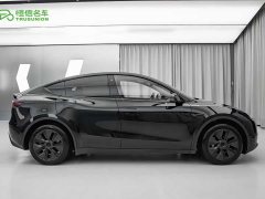 Tesla Model Y Edition - фото 7